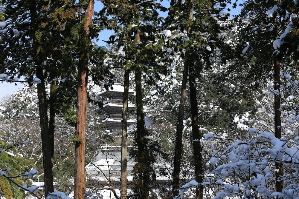 施設からの眺望