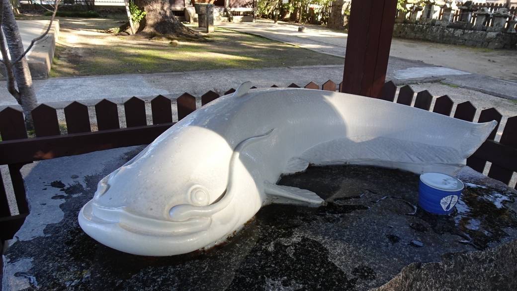 豊玉姫神社のなまず様 / 2