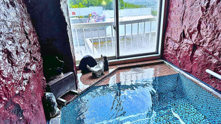 和室4名 岩風呂付