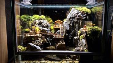 ロビーラウンジ / 5