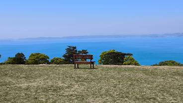 Heart Bench / 27
