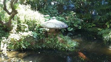 施設の敷地 / 19