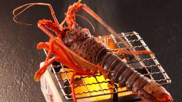 食事・飲み物 / 1