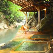 塩原温泉 明賀屋（みょうがや）本館（栃木県 旅館） / 2