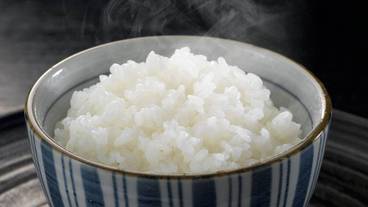 朝食ビュッフェ / 7