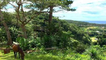 マウンテン ビュー / 19