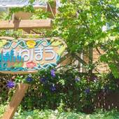 水上温泉 ペンション 朝ねぼう（群馬県 ペンション） / 3