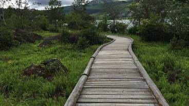 施設からの眺望 / 22