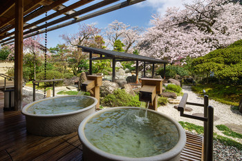 Enjoy cherry blossom viewing in the open-air bath and savor spring Japanese cuisine3440006