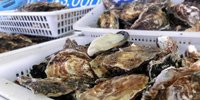 【岡山】日生漁協の『五味の市』で、牡蠣を思う存分堪能しよう！