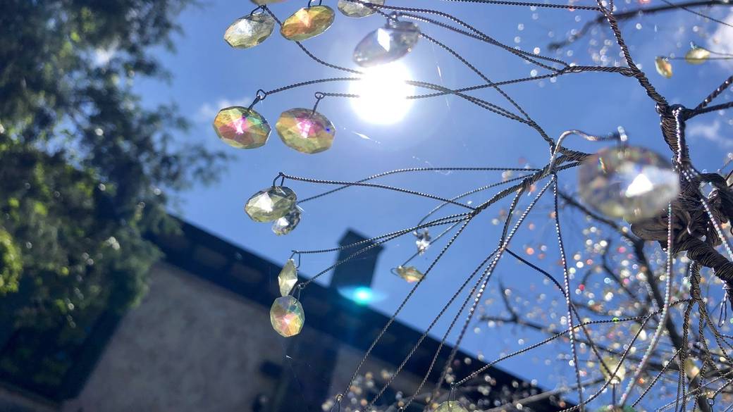 「箱根ガラスの森美術館」
に向かって出発 / 2