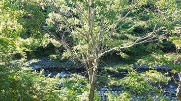 部屋からの景観 / 21