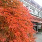 富士河口湖温泉 レイクランドホテル みづのさと(山梨県 旅館) / 4