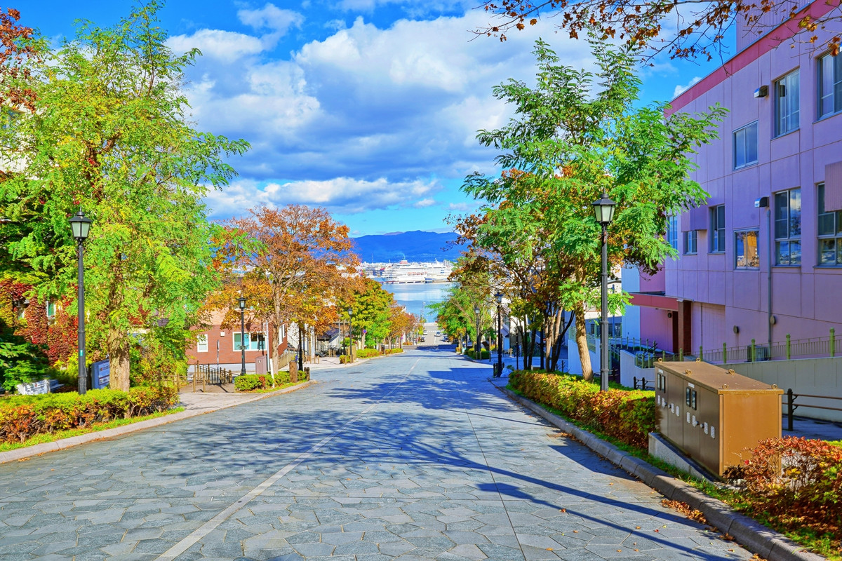 八幡坂 秋のイメージ