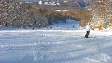 観光スポット / 10