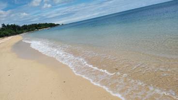 ビーチ / オーシャン ビュー / 35