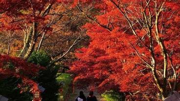 シティ ビュー / 18