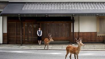 施設の正面 / 1