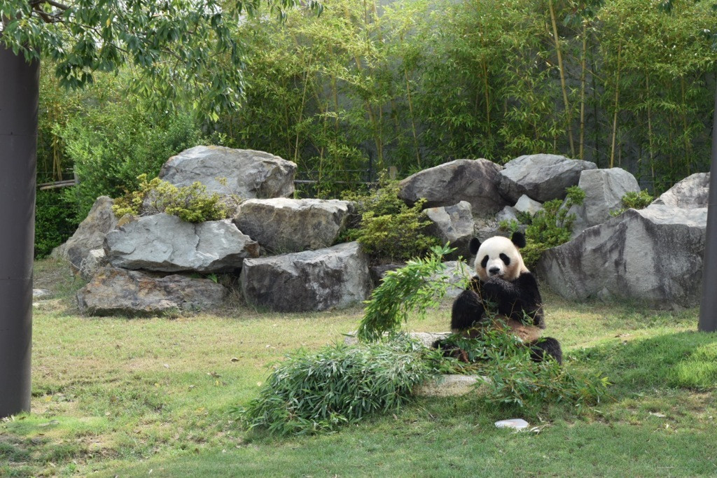 和歌山で女子一人旅におすすめのホテルを紹介3967372
