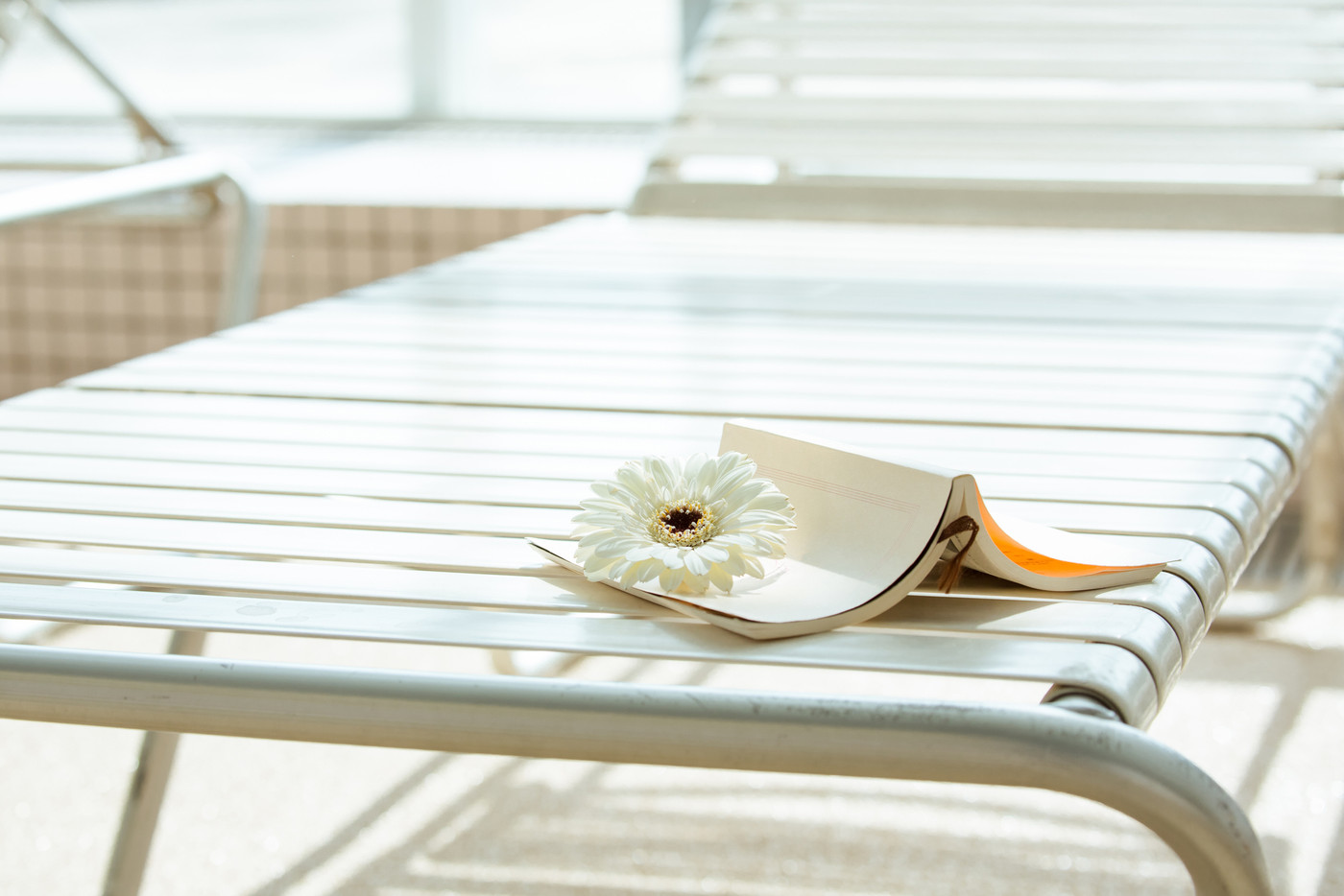 リゾート　プールサイド　読書　本