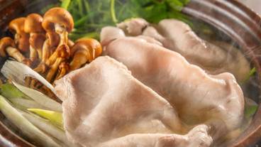 食事・飲み物 / 25