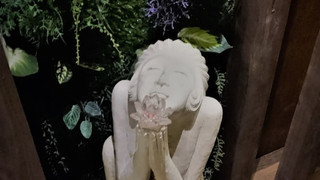 ジュニア ダブルまたはツインルーム シングルベッド 2 台 禁煙 共用バスルーム