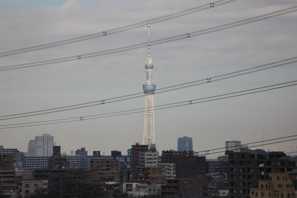 施設からの眺望