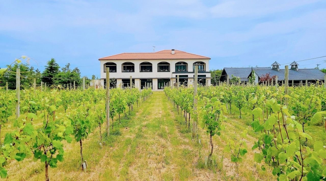 Winerystay TRAVIGNE（ワイナリーステイトラヴィーニュ）／新潟3959507