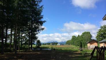 マウンテン ビュー / 31