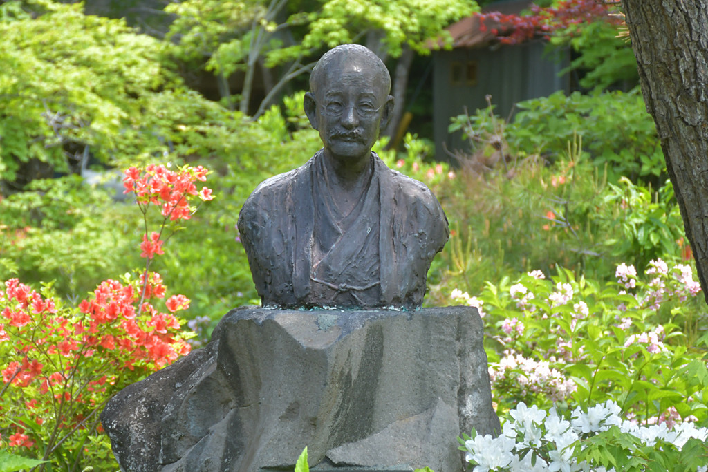 彼の真面目な顔にどきどき♡静寂の中の読書はいかが？3701842