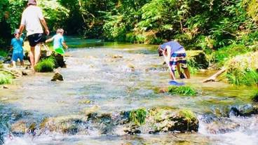 施設の敷地 / 24