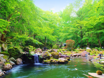 大庭園で彼とお散歩。森林の中でのびのびできる宿3551257