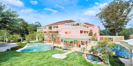 小谷流の里 ドギーズアイランド