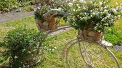 アメリーハウス軽井沢