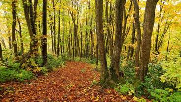 施設の敷地 / 21