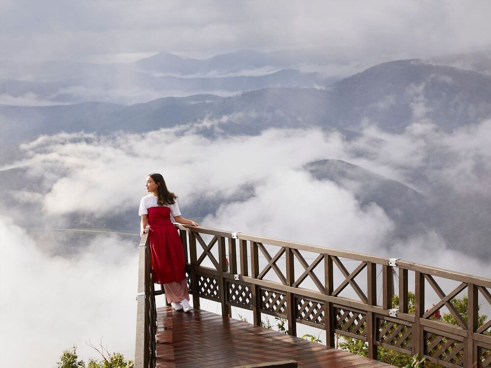 雲海テラス Sky Wedge