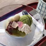 桜にグルメにスイーツに… 春の京都をゆったり巡る、“特別な”京都一人旅