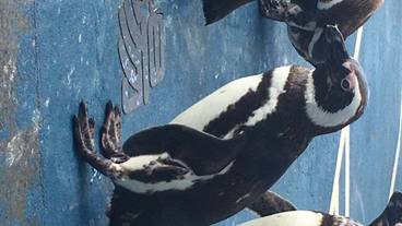 観光スポット / 6