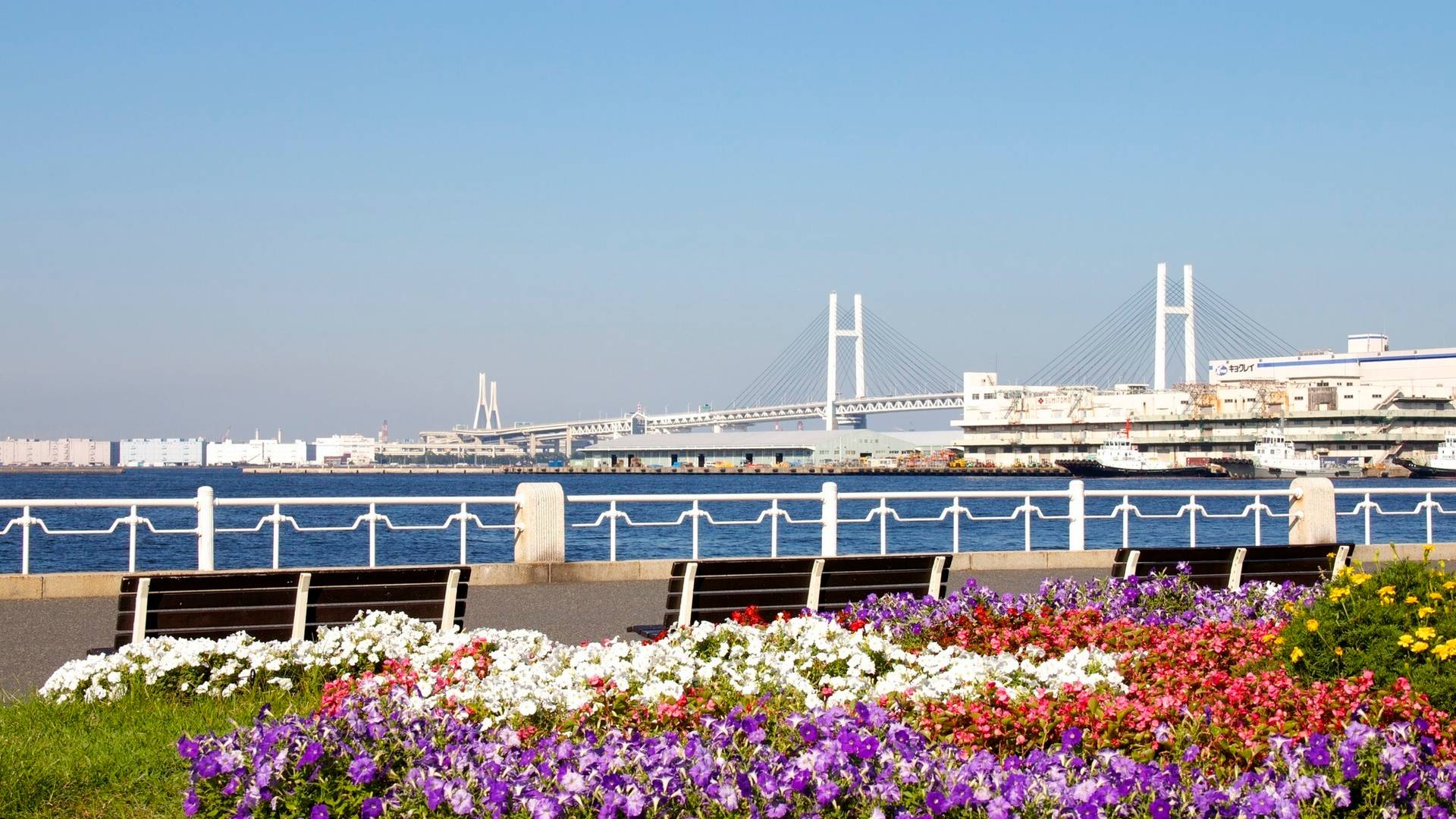 横浜_2
