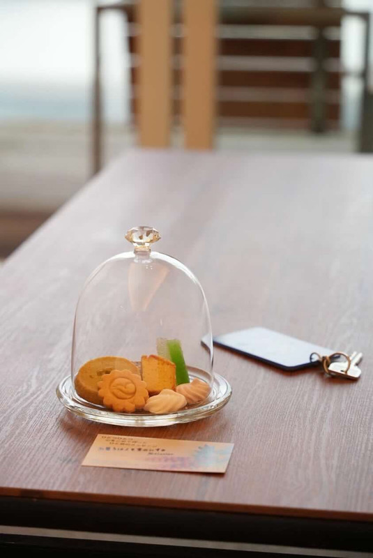 shqnqeさんの写真 / 2