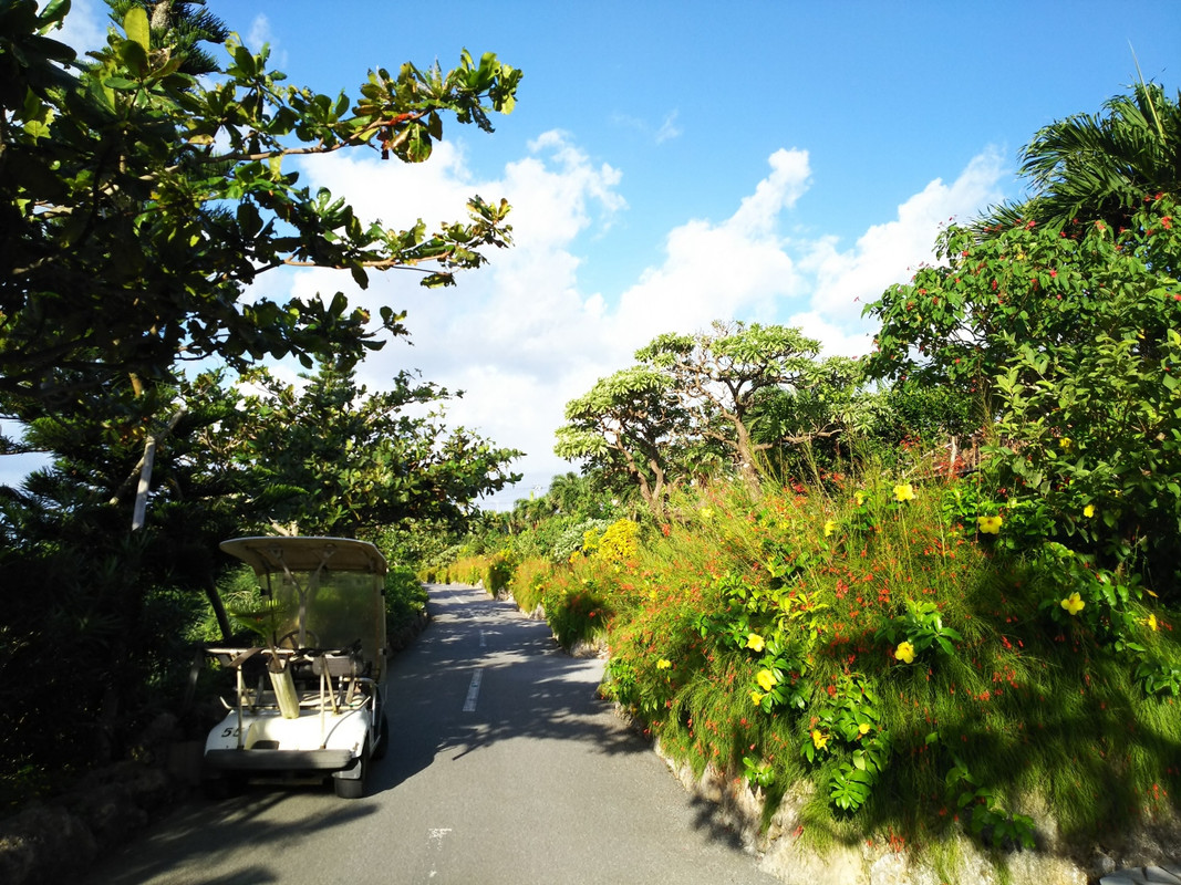 ヴィラエリアに通じる通路　通りからは全く中の様子が見えません