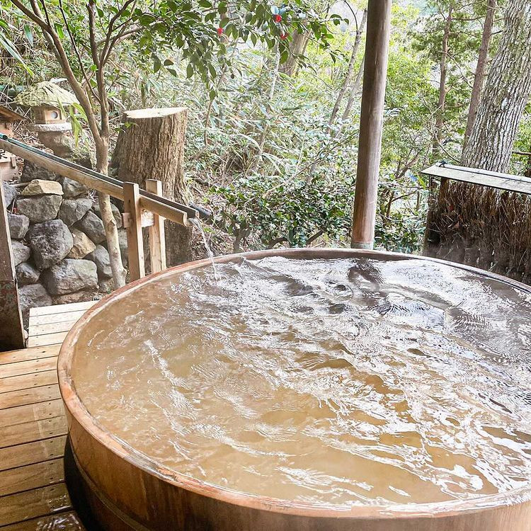 haru___tamaさんの写真 / 2