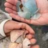 koyorieさんの写真