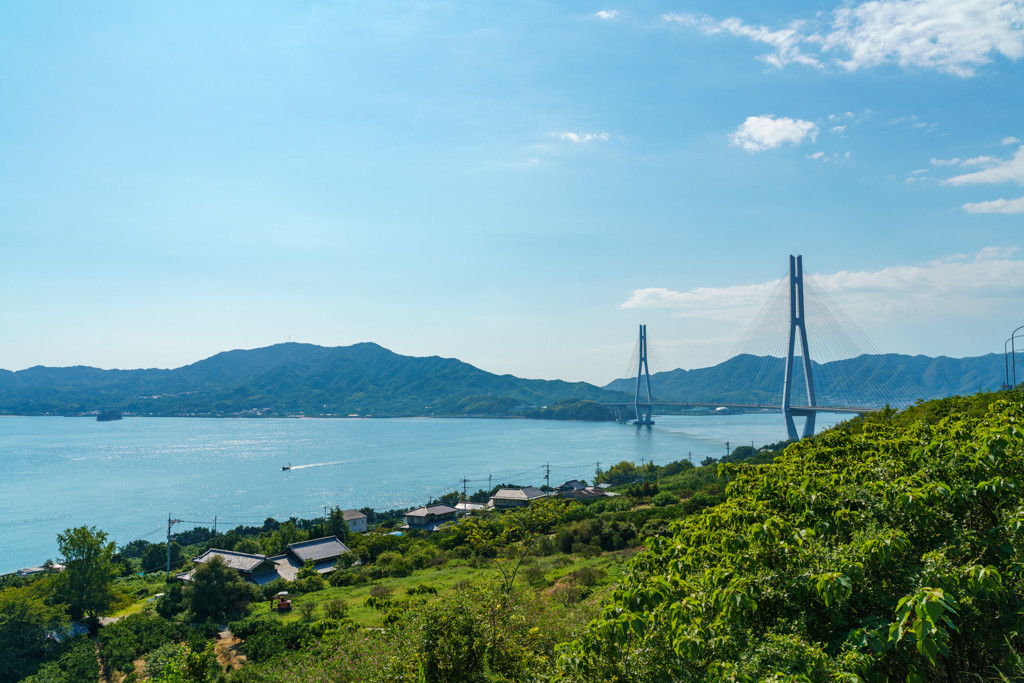 癒しの一人旅なら愛媛県へ3639737
