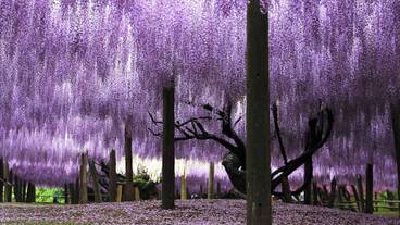 観光スポット / 3