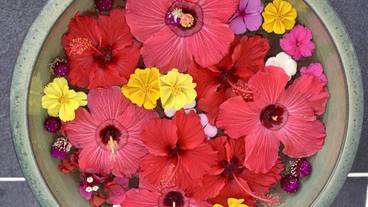 施設の入り口 / 22