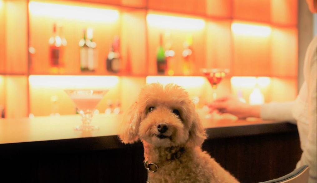 カフェ＆バーで
夜のひと時を満喫 / 1