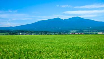 庄内地方の風景 / 1