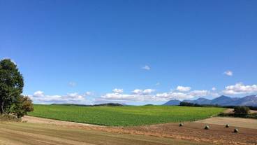 施設からの眺望 / 13