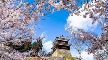 観光スポット / 4